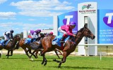 Wodonga Gold Cup Holiday