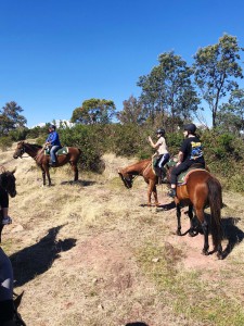 Camps2021-Horse-Riding00003