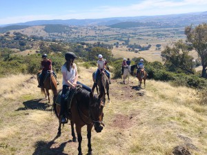 Camps2021-Horse-Riding00004