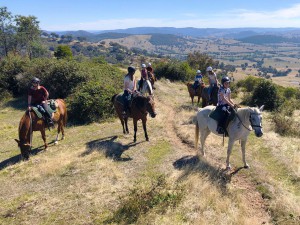 Camps2021-Horse-Riding00006