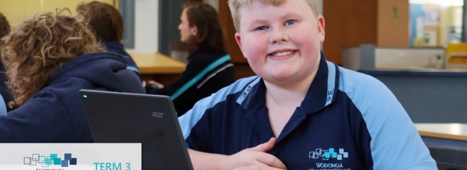 College Newsletter – Term 3 Week 10