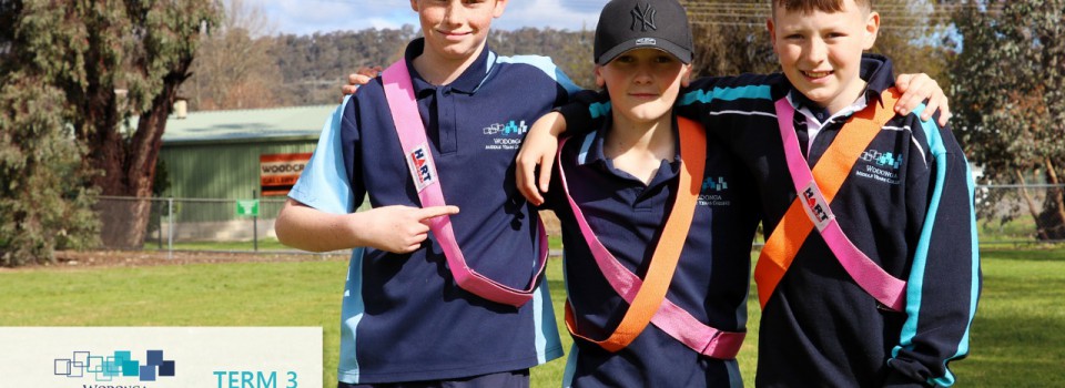College Newsletter – Term 3 Week 9
