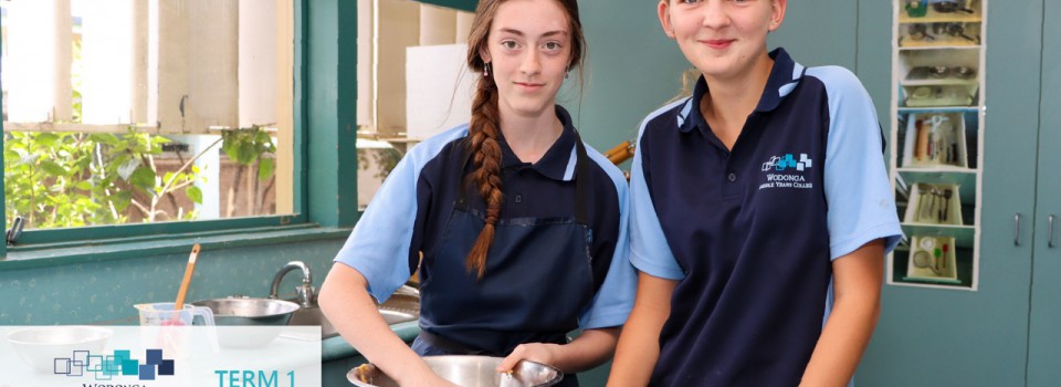 College Newsletter – Term 1 Week 5