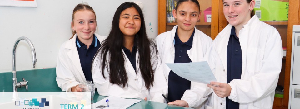 College Newsletter – Term 2 Week 4
