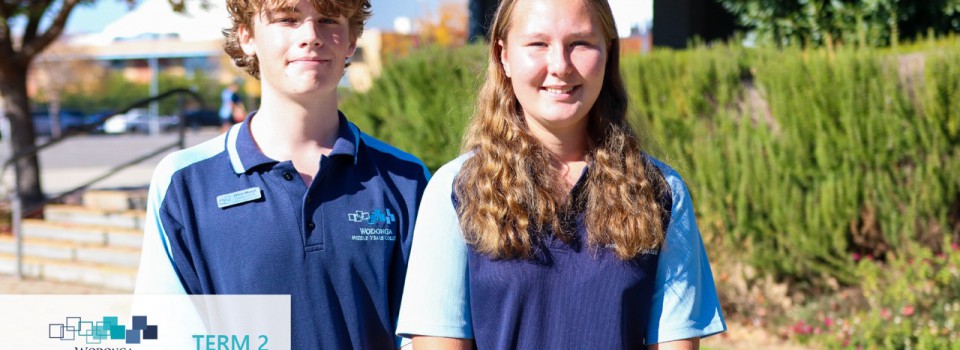College Newsletter – Term 2 Week 5