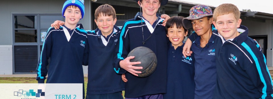 College Newsletter – Term 2 Week 7