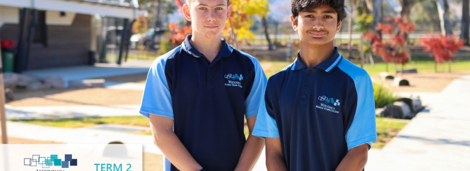 College Newsletter – Term 2 Week 8/9