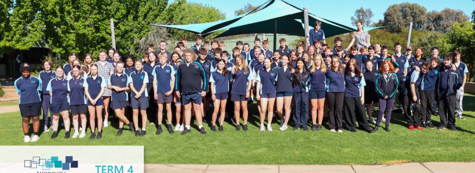 College Newsletter – Term 4 Week 3