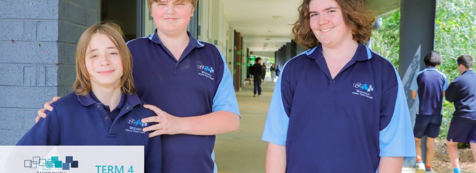 College Newsletter – Term 4 Week 5