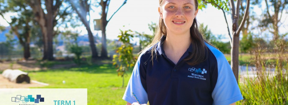 College Newsletter – Term 1 Week 7/8