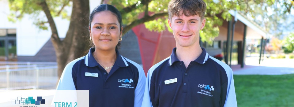 College Newsletter – Term 2 Week 4