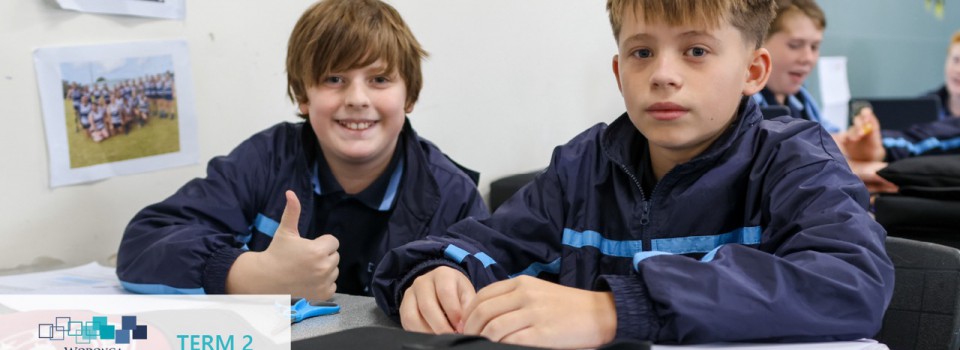 College Newsletter – Term 2 Week 10
