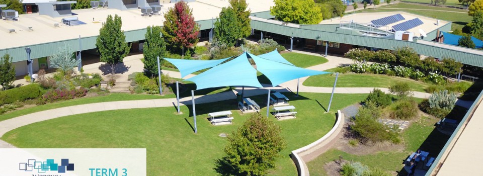 College Newsletter – Term 3 Week 1