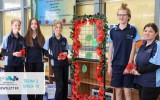 College Newsletter – Term 3 Week 10