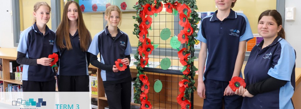 College Newsletter – Term 3 Week 10