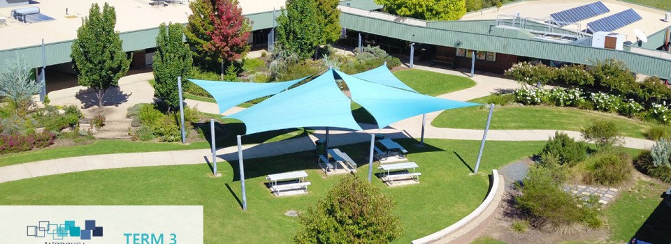 College Newsletter – Term 3 Week 9