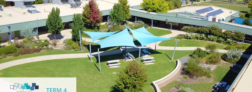 College Newsletter – Term 4 Week 1
