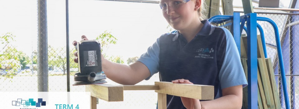 College Newsletter – Term 4 Week 4